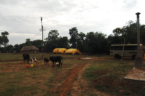 d2x_2458.jpg